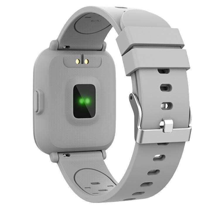 Viedpulkstenis Denver Electronics SW-161GREY 1,3" IPS 200 MAH цена и информация | Viedpulksteņi (smartwatch) | 220.lv