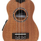 Elektroakustiskā soprāna ukulele Stagg US-30 E cena un informācija | Ģitāras | 220.lv
