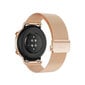 Huawei Watch GT2 Classic, 42 mm, refined gold цена и информация | Viedpulksteņi (smartwatch) | 220.lv