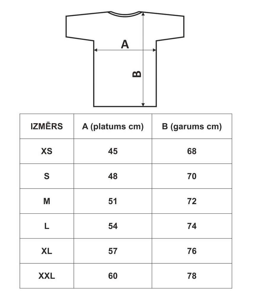 Vīriešu t-krekls "Latvietis" cena un informācija | Vīriešu T-krekli | 220.lv