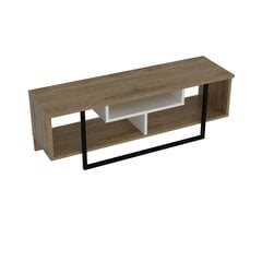 ТВ столик Kalune Design Asal 120 см, дуб/черный цена и информация | Тумбы под телевизор | 220.lv