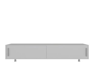 ТВ столик Kalune Design Nehi, белый цена и информация |  Тумбы под телевизор | 220.lv