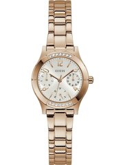 Женские часы Guess GW0033L3 цена и информация | Женские часы | 220.lv