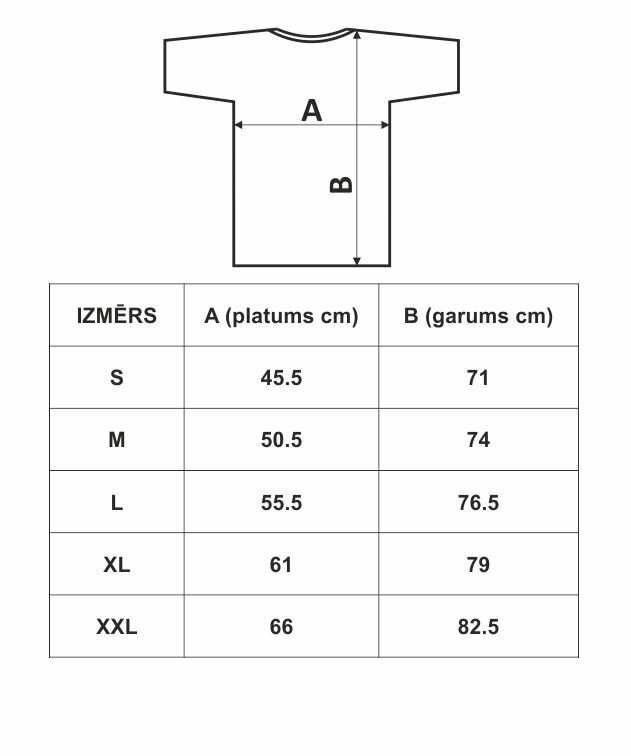 Vīriešu t-krekls "Latvietis" цена и информация | Vīriešu T-krekli | 220.lv