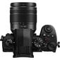 Panasonic Lumix G DC-G95M (90/91/99) + 12-60mm(H-FS12060), black цена и информация | Digitālās fotokameras | 220.lv