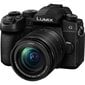 Panasonic Lumix G DC-G95M (90/91/99) + 12-60mm(H-FS12060), black цена и информация | Digitālās fotokameras | 220.lv