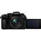 Panasonic Lumix G DC-G95M (90/91/99) + 12-60mm(H-FS12060), black cena un informācija | Digitālās fotokameras | 220.lv