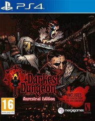 Darkest Dungeon: Ancestral Edition cena un informācija | Datorspēles | 220.lv