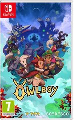 Owlboy PS4 цена и информация | Компьютерные игры | 220.lv