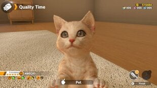 Little Friends: Dogs and Cats NSW цена и информация | Компьютерные игры | 220.lv