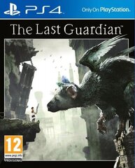 The Last Guardian PS4 цена и информация | Компьютерные игры | 220.lv