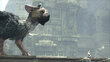 The Last Guardian PS4 cena un informācija | Datorspēles | 220.lv