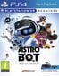 Astro Bot Rescue Mission VR PS4 cena un informācija | Datorspēles | 220.lv