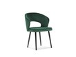 2-u krēslu komplekts Windsor and Co Elpis, tumši zaļš цена и информация | Virtuves un ēdamistabas krēsli | 220.lv