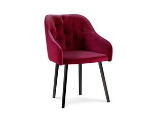 Krēsls Milo Casa Luisa, sarkans kaina ir informacija | Virtuves un ēdamistabas krēsli | 220.lv