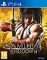 Samurai Shodown PS4 cena un informācija | Datorspēles | 220.lv