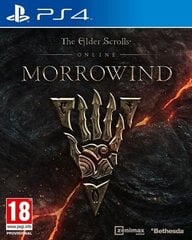 The Elder Scrolls Online: Morrowind PS4 cena un informācija | Datorspēles | 220.lv