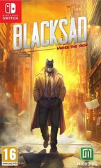 SWITCH Blacksad: Under the Skin Limited Edition цена и информация | Компьютерные игры | 220.lv