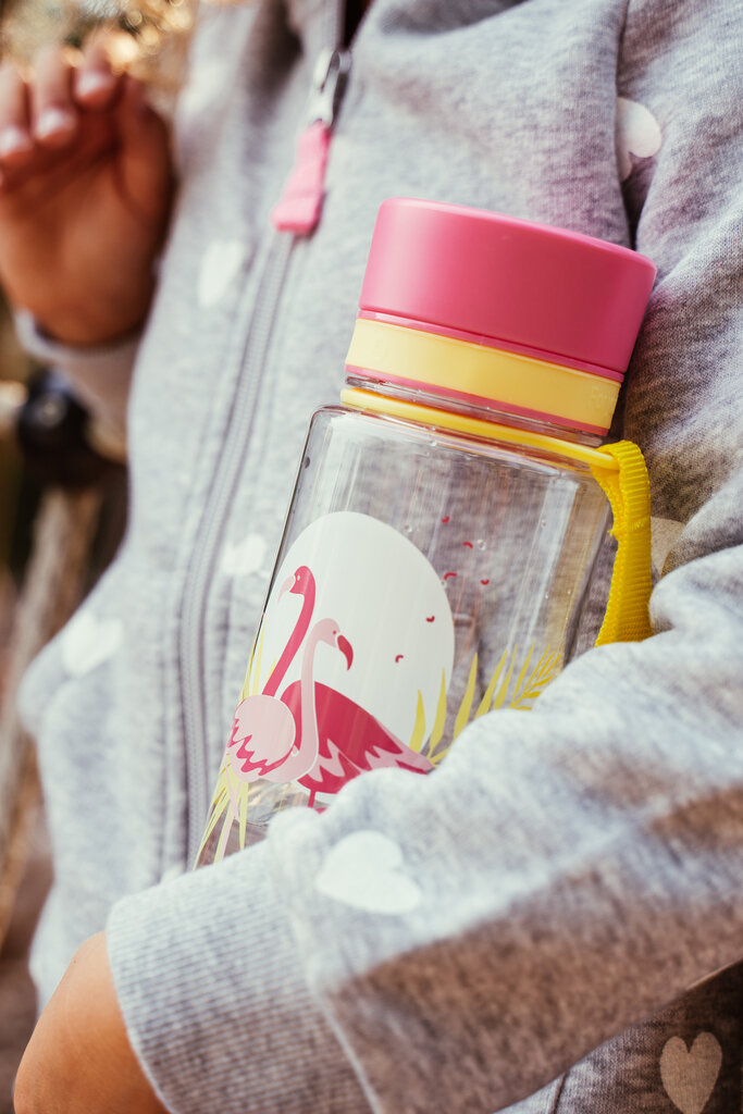 Pudele Equa Flamingo, 400 ml cena un informācija | Bērnu pudelītes un to aksesuāri | 220.lv