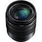 Panasonic LUMIX G Vario 12-60mm f/3.5-5.6 Asph. Power O.I.S (H-FS12060) цена и информация | Objektīvi | 220.lv