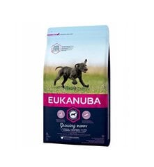 Eukanuba сухой корм для щенков крупных пород  до 12 месяцев, со свежей курицей, 15 кг цена и информация |  Сухой корм для собак | 220.lv