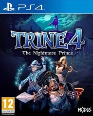PS4 Trine 4: The Nightmare Prince цена и информация | Компьютерные игры | 220.lv