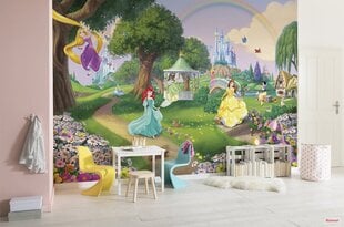 Fototapetes Disney Princess Rainbow cena un informācija | Bērnu fototapetes | 220.lv