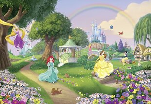 Fototapetes Disney Princess Rainbow cena un informācija | Bērnu fototapetes | 220.lv