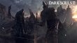 The Witcher III Wild Hunt - Dark Souls III collection cena un informācija | Datorspēles | 220.lv