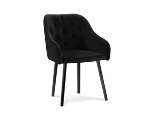 Комплект из 4-х стульев Milo Casa Luisa, черный цена и информация | Стулья для кухни и столовой | 220.lv
