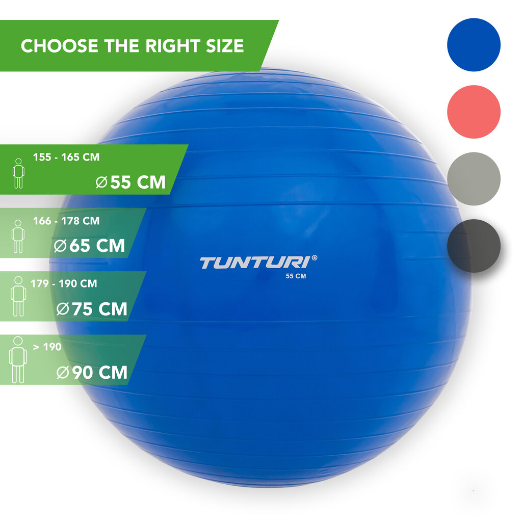 Vingrošanas bumba Tunturi ar pumpi, 55 cm, zila cena un informācija | Vingrošanas bumbas | 220.lv