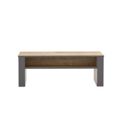 Журнальный столик Kalune Design Manhattan, 110 см, коричневый/темно-серый цена и информация | Журнальные столики | 220.lv