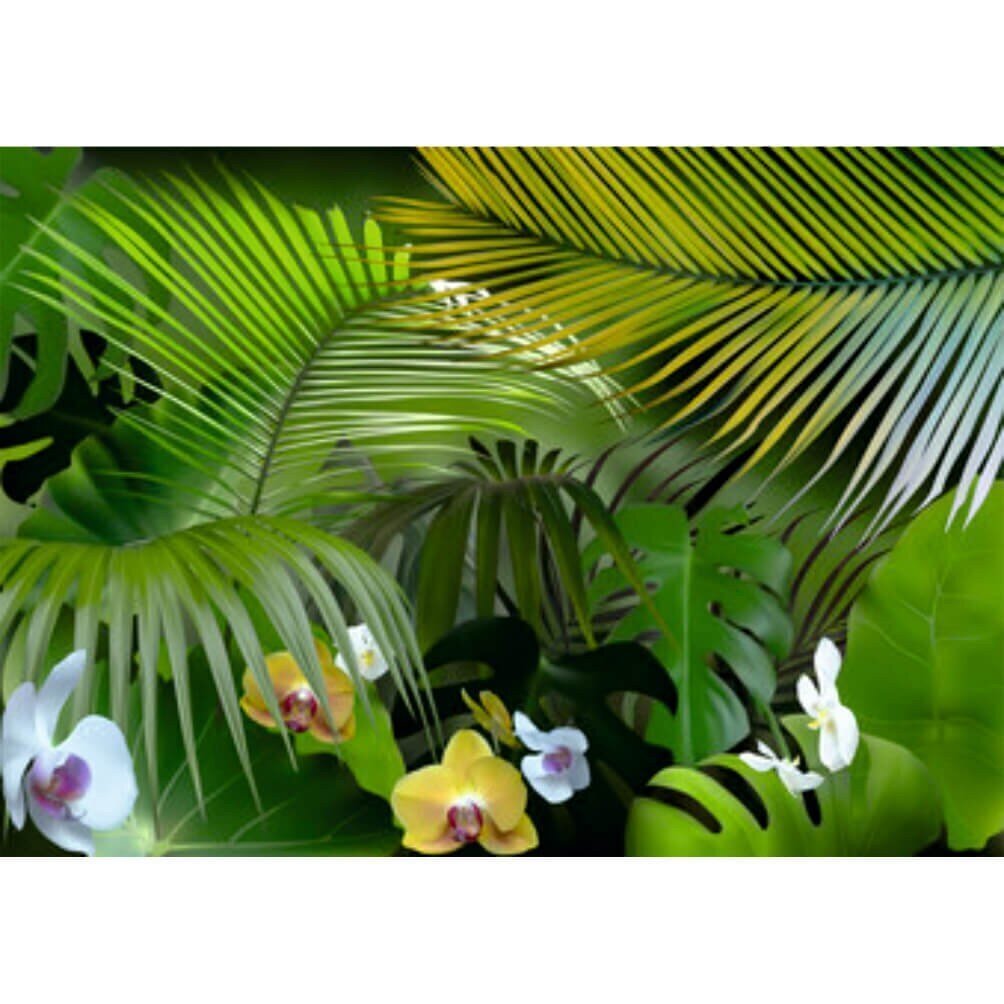 Fototapetes - Džungļu orhidejas cena un informācija | Fototapetes | 220.lv