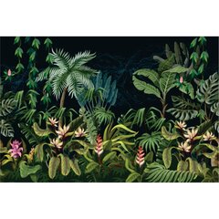 Fototapetes - Tropiskā flora cena un informācija | Fototapetes | 220.lv