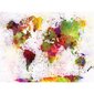Foto tapetes - Akvareļu pasaules karte cena un informācija | Fototapetes | 220.lv