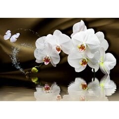 Foto tapetes - Orhidejas malks cena un informācija | Fototapetes | 220.lv