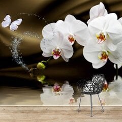 Foto tapetes - Orhidejas malks цена и информация | Фотообои | 220.lv