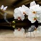 Fototapetes - Orhidejas malks цена и информация | Fototapetes | 220.lv