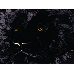 Foto tapetes - Lauva ilustrācija tumšās krāsās cena un informācija | Fototapetes | 220.lv