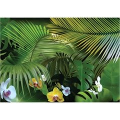 Foto tapetes - Orhidejas mežā cena un informācija | Fototapetes | 220.lv