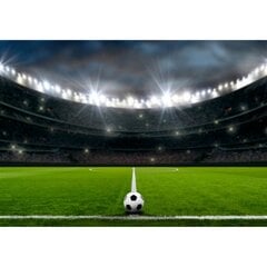 Fototapetes - Futbola stadions цена и информация | Фотообои | 220.lv