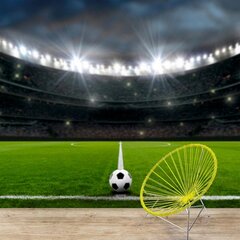 Fototapetes - Futbola stadions цена и информация | Фотообои | 220.lv