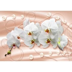 Fototapetes - Orhidejas uz pasteļa fona цена и информация | Фотообои | 220.lv