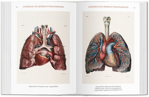 Atlas of Human Anatomy and Surgery cena un informācija | Enciklopēdijas, uzziņu literatūra | 220.lv