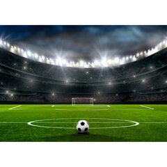 Fototapetes - Futbola stadions II цена и информация | Фотообои | 220.lv