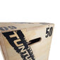 Veiklības platforma Tunturi Plyo Box Wood cena un informācija | Sporta trepes, bumbas reakcijas trenēšanai | 220.lv