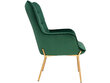 Krēsls Notio Living Bruce, zaļš cena un informācija | Atpūtas krēsli | 220.lv