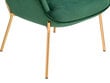 Krēsls Notio Living Bruce, zaļš cena un informācija | Atpūtas krēsli | 220.lv