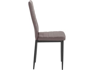 Комплект из 2-х стульев Notio Living Sally, коричневый цена и информация | Стулья для кухни и столовой | 220.lv