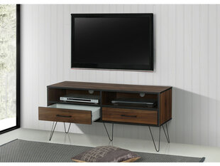 TV galdiņš Notio Living Shepard 120, tumši brūns cena un informācija | TV galdiņi | 220.lv